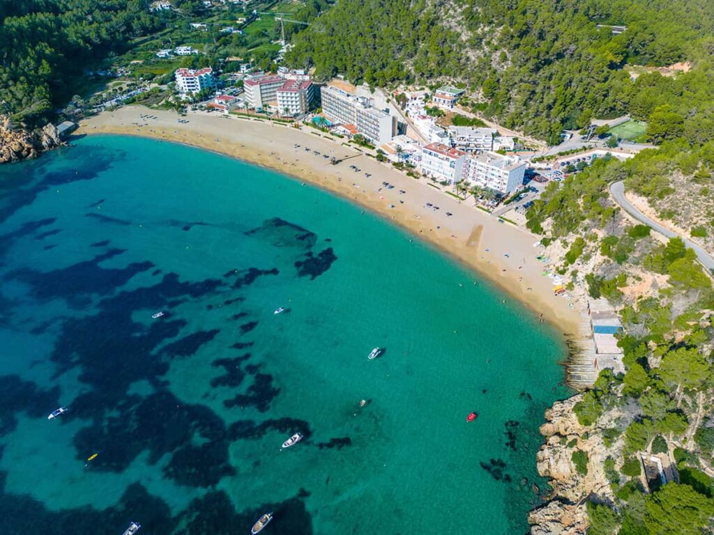 Cala San Vicente Ibiza 1